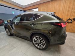 2024 Lexus NX350H Sports Luxury AWD
