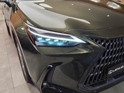 2024 Lexus NX350H Sports Luxury AWD