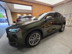 2024 Lexus NX350H Sports Luxury AWD