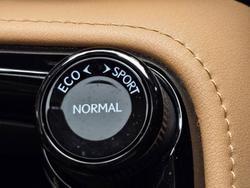 2024 Lexus NX250 Base 2.5L Petrol Automatic Wagon