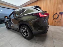 2024 Lexus NX250 Base 2.5L Petrol Automatic Wagon