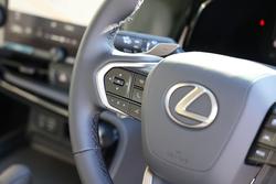 2024 Lexus
                NX350H NX350h Luxury 2.5L Hybrid Auto CVT Wagon 2M00500 001