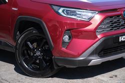 2020 Toyota RAV4 Cruiser
