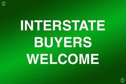 2025 Renault
                Trafic 