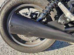2024 Honda CMX500S Grey