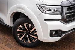 2025 GWM
CANNON UTE