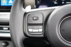 2025 GWM
CANNON UTE