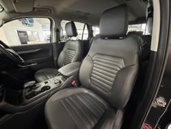 2026 Ford Everest Sport