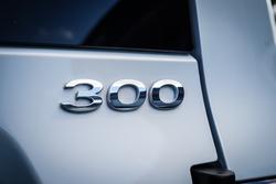 2025 GWM GWM TANK 300