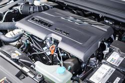 2025 GWM GWM TANK 300