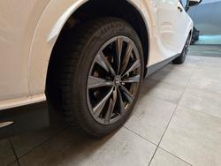 2024 Lexus
RX350 F Sport 2.4L T Petrol Automatic Wagon