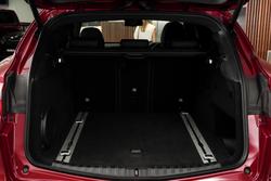 2019 Alfa Romeo Stelvio Quadrifoglio