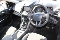 2019 Ford Escape Trend ZG MY19.25 AWD Grey