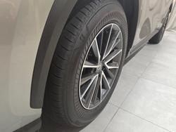 2024 Lexus
                NX250 Base 2.5L Petrol Automatic Wagon