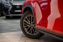 2025 Lexus NX350H Luxury AWD