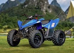 2026 CFMOTO CFORCE 110