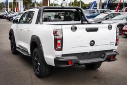 2025 GWM
CANNON UTE