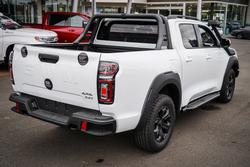 2025 GWM
CANNON UTE