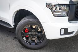 2025 GWM
CANNON UTE