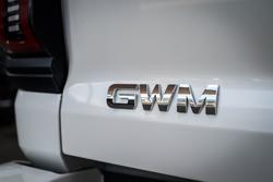 2025 GWM
CANNON UTE