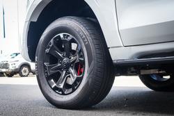 2025 GWM
CANNON UTE