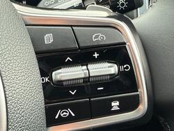 2025 Kia
Sorento Sport+