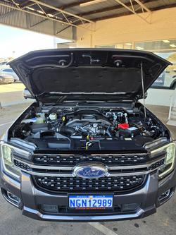 2025 Ford Ranger XLT MY25.25 Grey