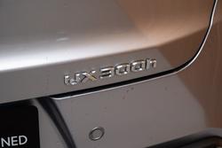 2025 Lexus UX300h F Sport 2WD