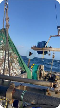 1989 COMMERCIAL Fishing Boat