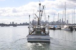 1979 Trawler Timber