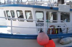 1979 Trawler Timber