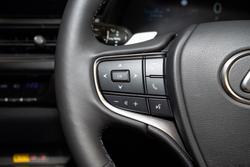 2024 Lexus UX300E Sports Luxury 71.4 kWh Li-ion batt Automatic SUV