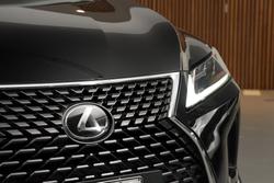 2021 Lexus RX 350L Luxury
