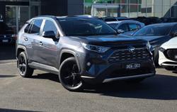 2021 Toyota RAV4 Cruiser