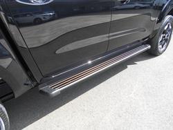 2025 Nissan Navara ST-X