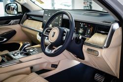 2025 GWM GWM TANK 500