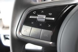 2025 GWM Cannon Alpha Ultra