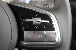 2025 GWM Cannon Alpha Ultra