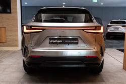 2025 Lexus NX250 Base 2.5L Petrol Automatic Wagon