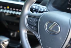 2020 Lexus UX250h Luxury 2.0L Hybrid Auto E-CVT SUV