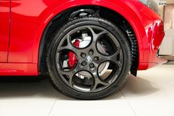 2025 Alfa Romeo Stelvio Tributo Italiano