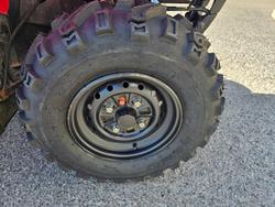 2018 Honda  TRX250TM 2WD 4-WHEELER Red