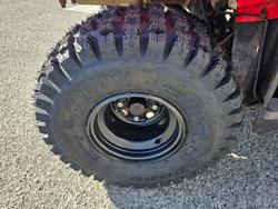 2018 Honda  TRX250TM 2WD 4-WHEELER Red