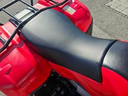 2018 Honda  TRX250TM 2WD 4-WHEELER Red