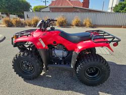 2018 Honda  TRX250TM 2WD 4-WHEELER Red