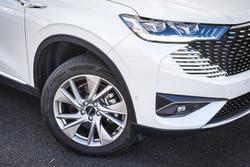 2024 GWM
H6