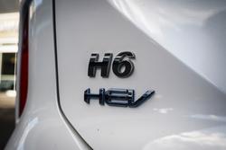 2024 GWM
H6