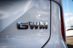 2024 GWM
H6