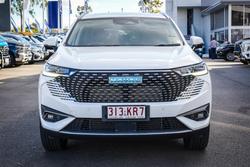 2024 GWM
H6