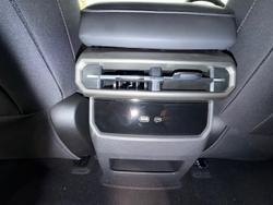 2025 LDV Terron 9 Origin